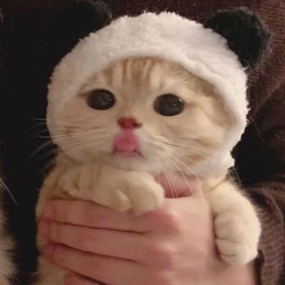 ปกเกล้า อนันต์ avatar