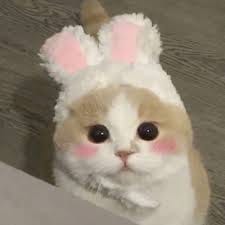 บดินทร์ ผาลา avatar